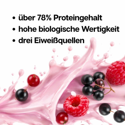 3K PROTEIN SHAKE Beeren-Mix