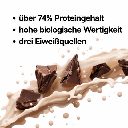 3K PROTEIN SHAKE Dunkle-Schokolade