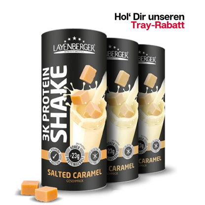 3K PROTEIN SHAKE Salted Caramel 3er Karton