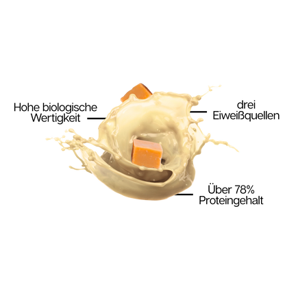 3K PROTEIN SHAKE Salted Caramel 3er Karton