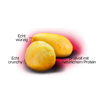 CHEESY SNÄKKS Bacon 10er Karton