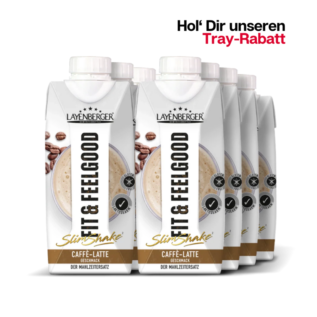SLIM SHAKE FIXFERTIG Caffé Latte 8er Karton