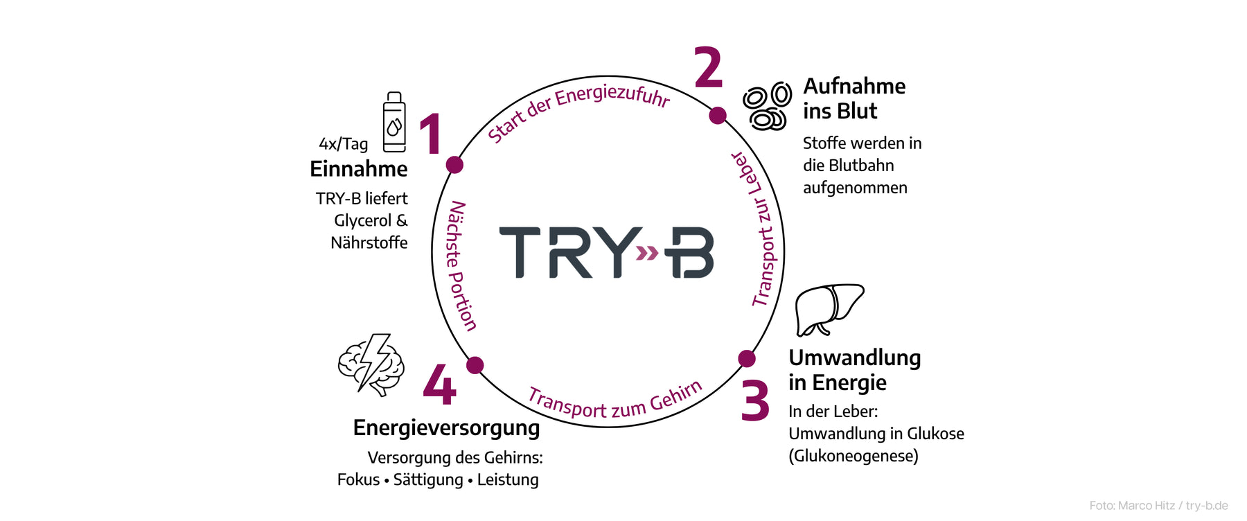 Dein Energie-Kreislauf