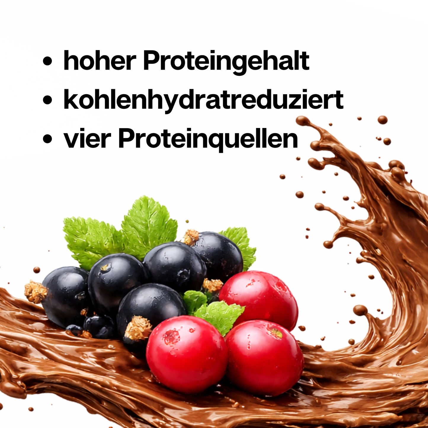 HIGH PROTEIN RIEGEL Cranberry-Cassis