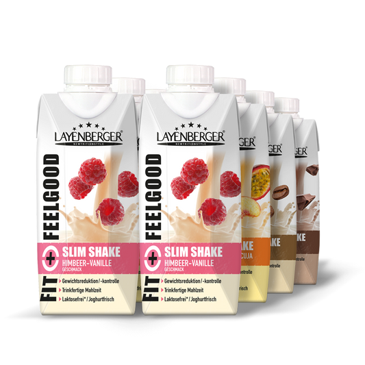 SLIM SHAKE FIXFERTIG Maxi-Mix