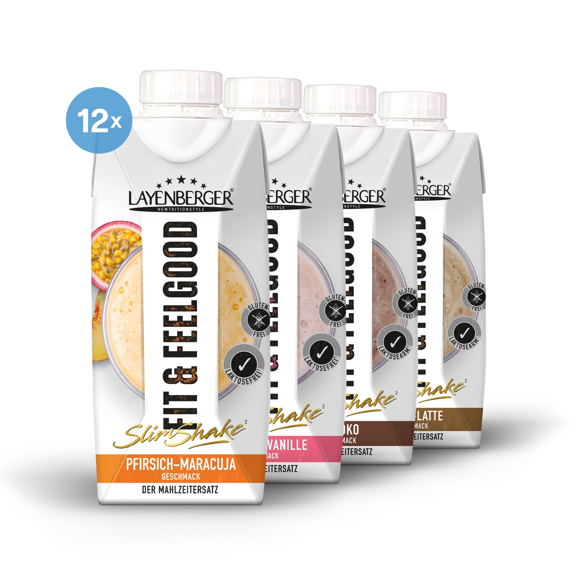 SLIM SHAKE READY-TO-USE Maxi-Mix – LAYENBERGER Nutrition Group GmbH