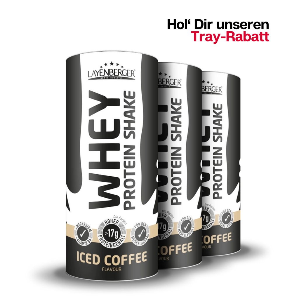 WHEY PROTEIN SHAKE Iced Coffee 3er Karton