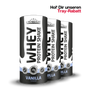 WHEY PROTEIN SHAKE Vanilla 3er Karton
