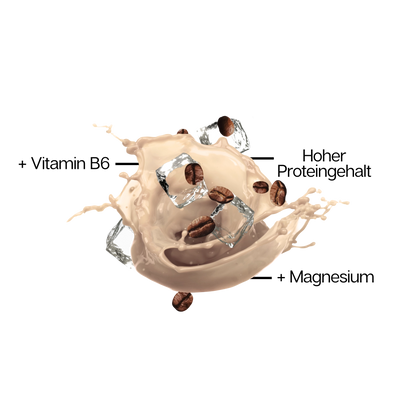 WHEY PROTEIN SHAKE Iced Coffee