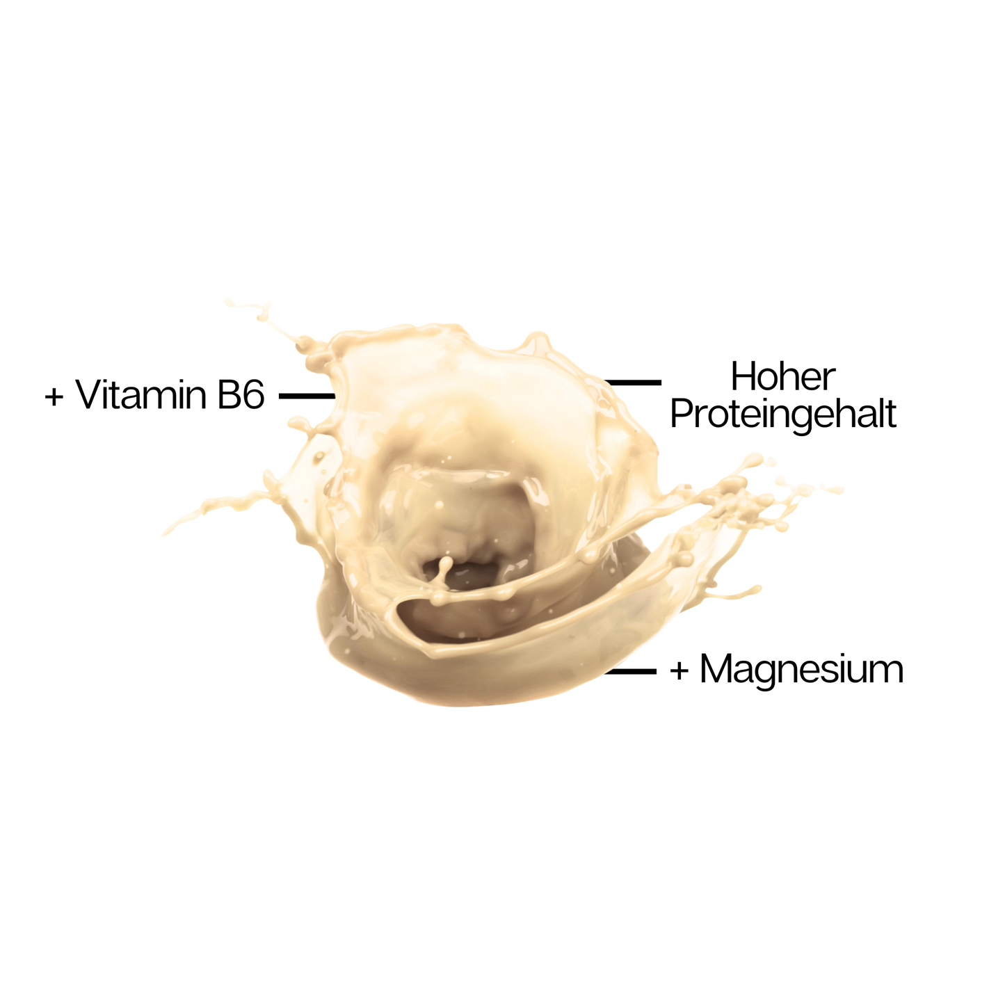 WHEY PROTEIN SHAKE Vanilla