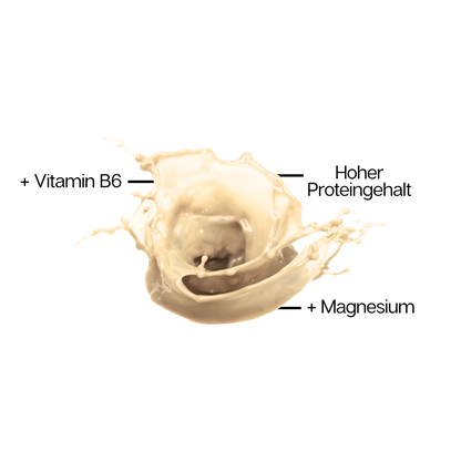 WHEY PROTEIN SHAKE Vanilla